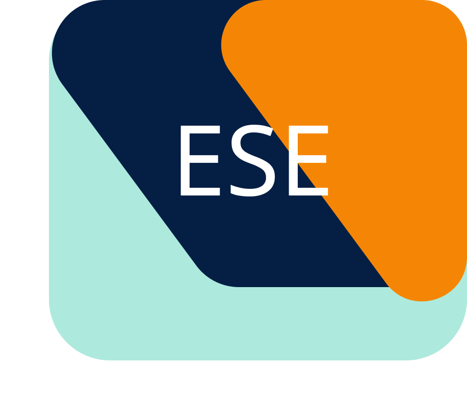 Euangelion Software Engineering